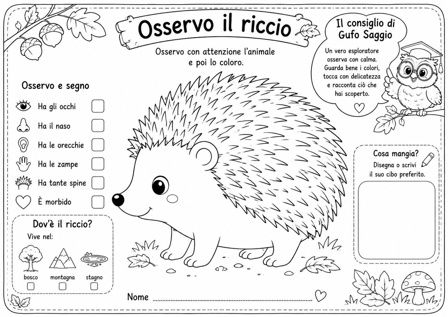 Osserva il riccio e colora