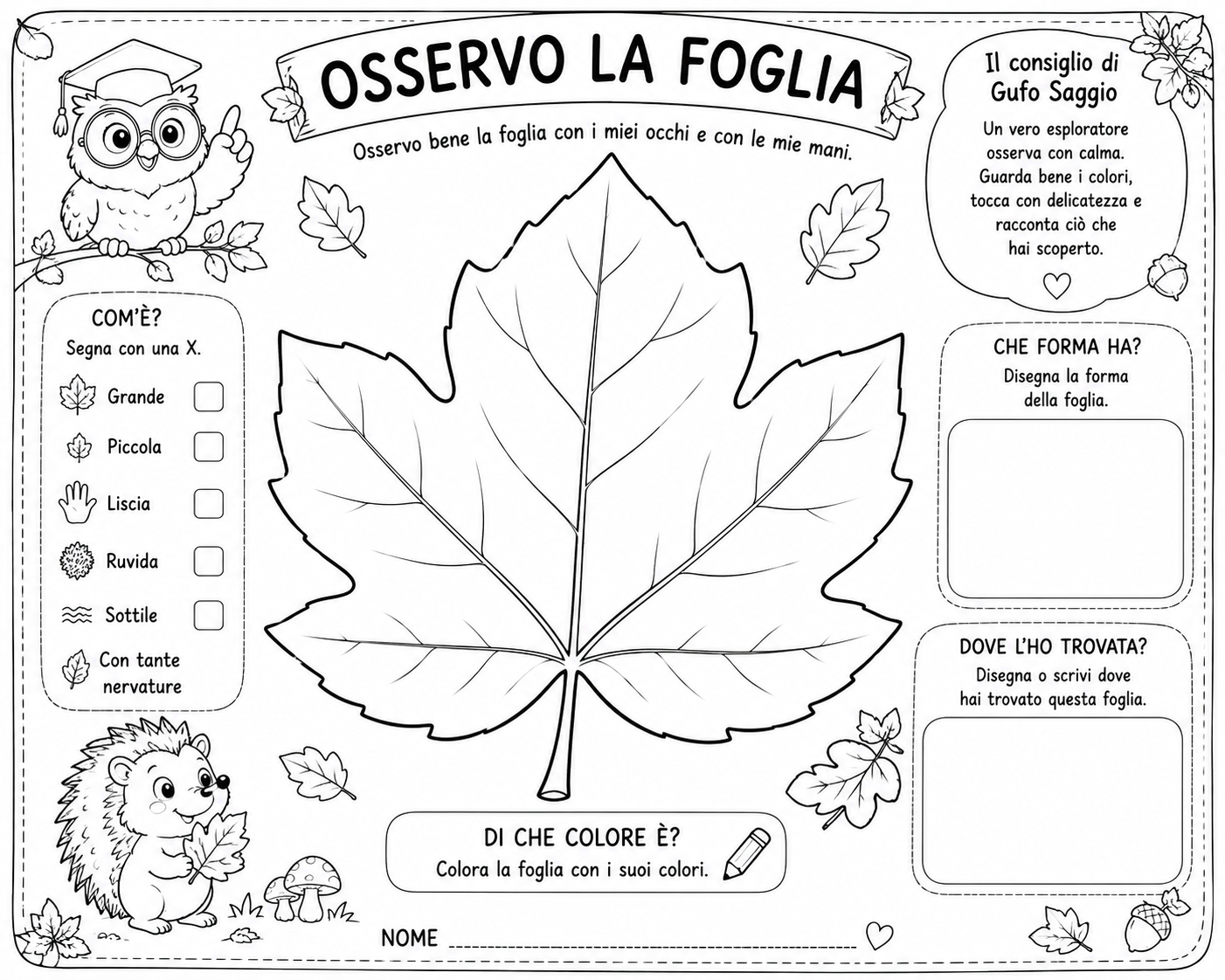 Osserviamo la foglia insieme
