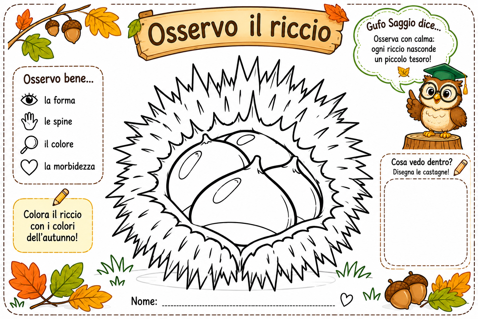 Osservo il riccio