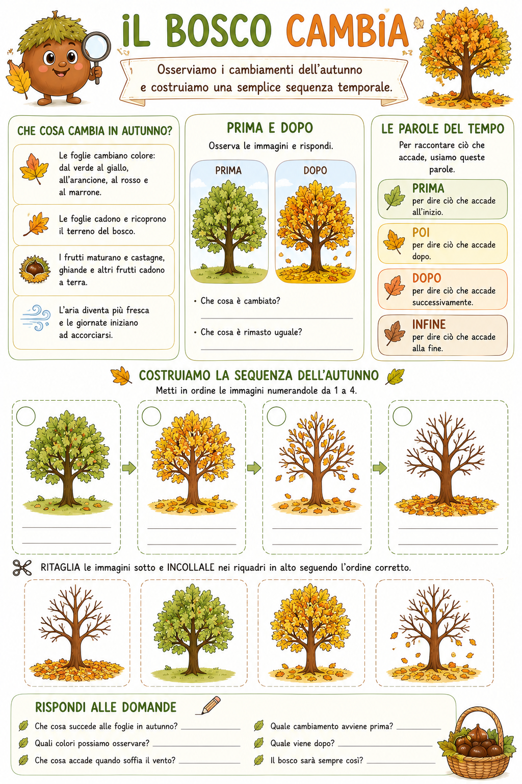 Il bosco cambia - sequenza d'autunno per la classe seconda della scuola primaria