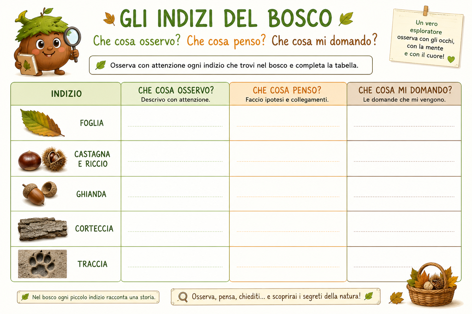 Indizi del bosco osserva e scopri - scheda didattica classe seconda
